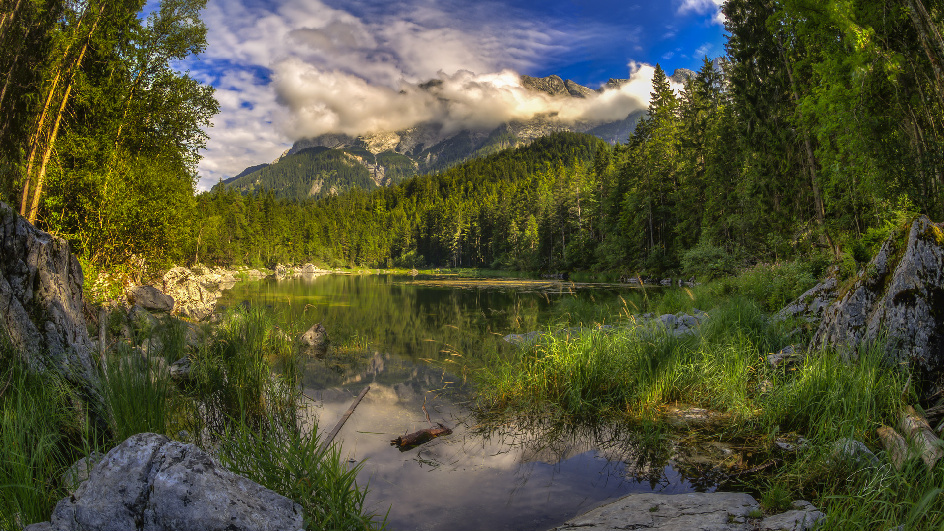 Sommertag am See