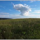 Sommertag am Silberberg