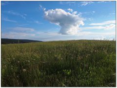 Sommertag am Silberberg