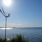 Sommertag am Steinhuder Meer