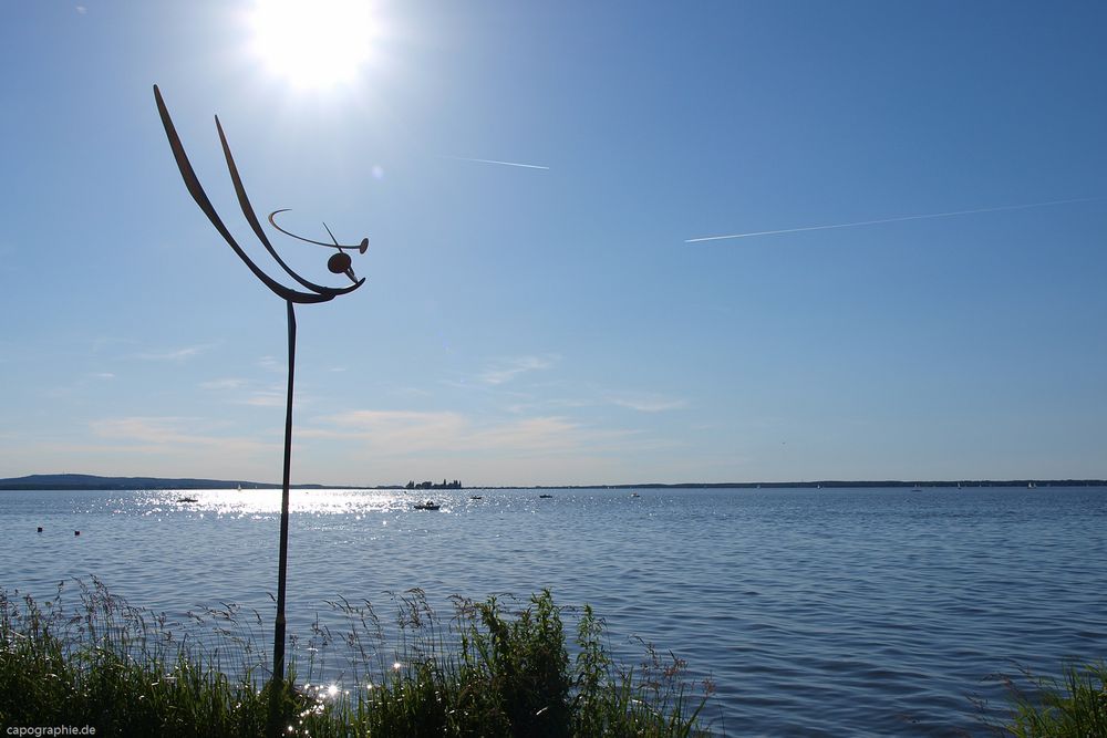 Sommertag am Steinhuder Meer