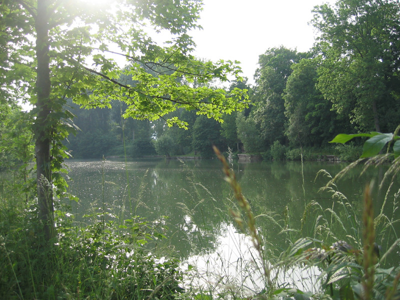 Sommertag am Teich