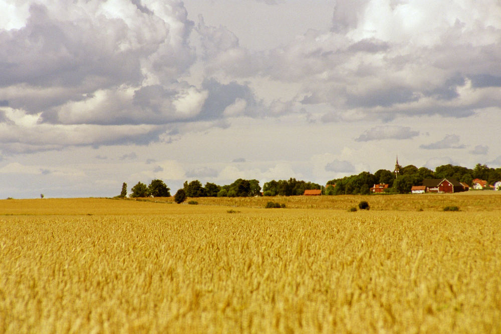 Sommertag am Väternsee