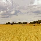 Sommertag am Väternsee