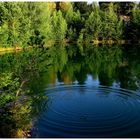 Sommertag am Waldsee