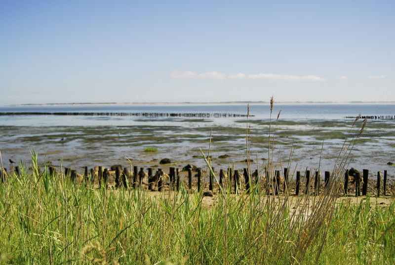 Sommertag am Watt - Nebel - Amrum