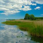 Sommertag an der Schlei