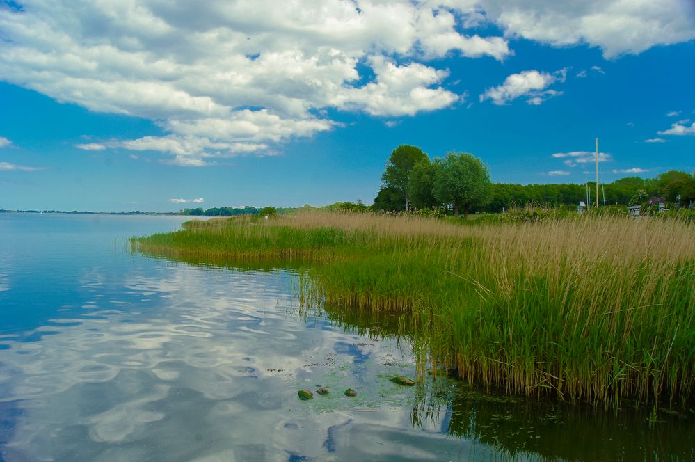 Sommertag an der Schlei