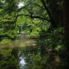 Sommertag an der Waldnaab