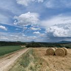 Sommertag auf dem Land