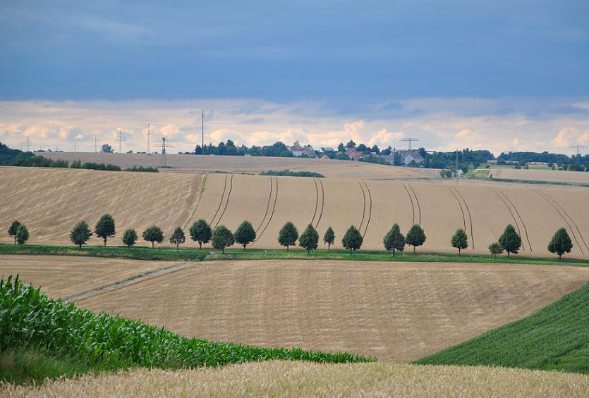 Sommertag