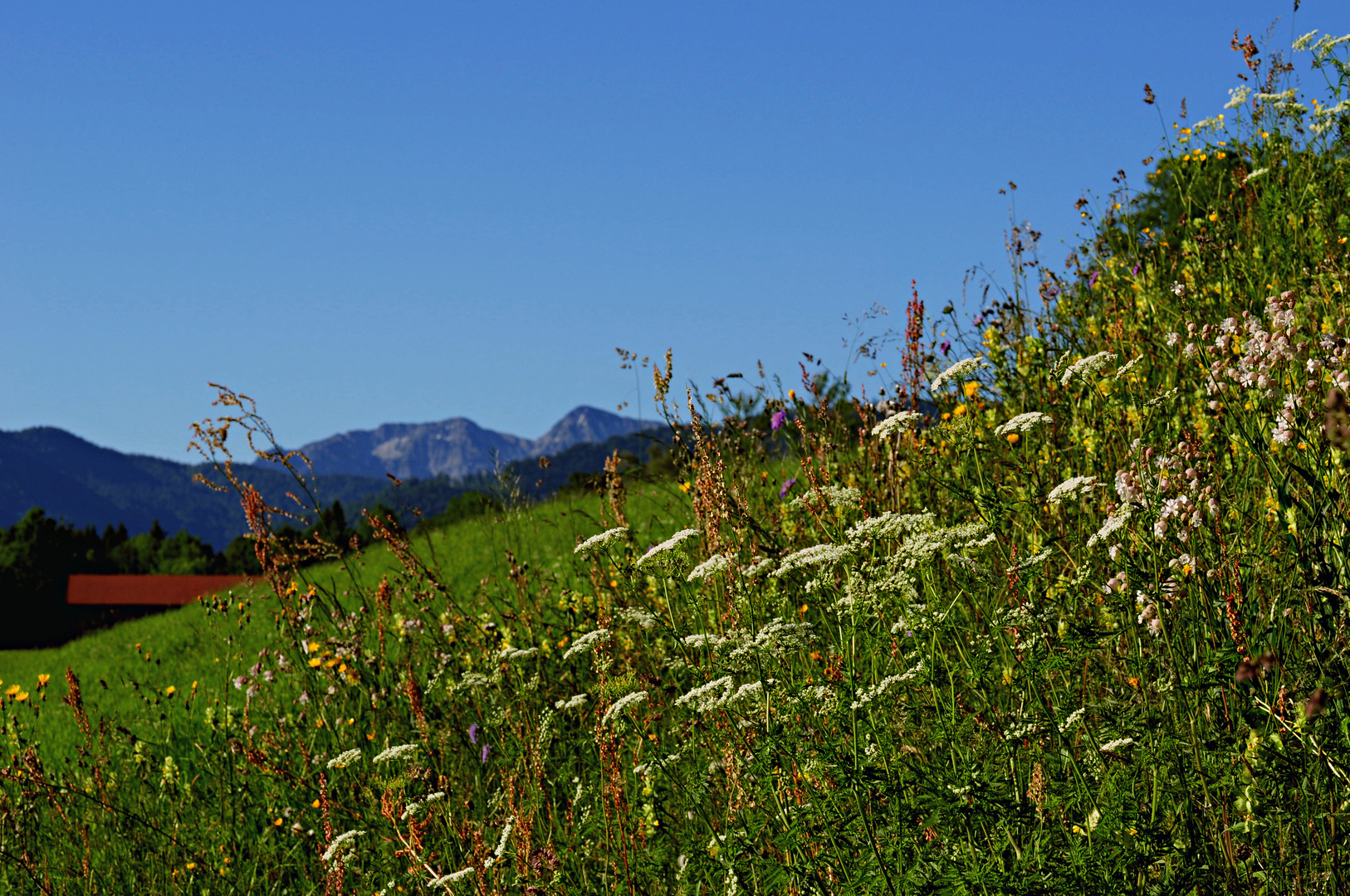 Sommertag!