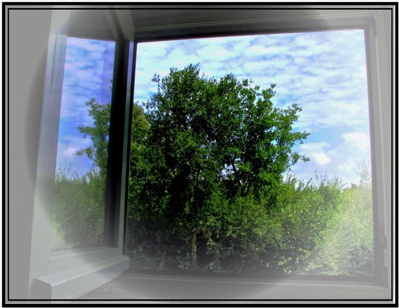 Sommertag - Fensterblick