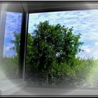 Sommertag - Fensterblick