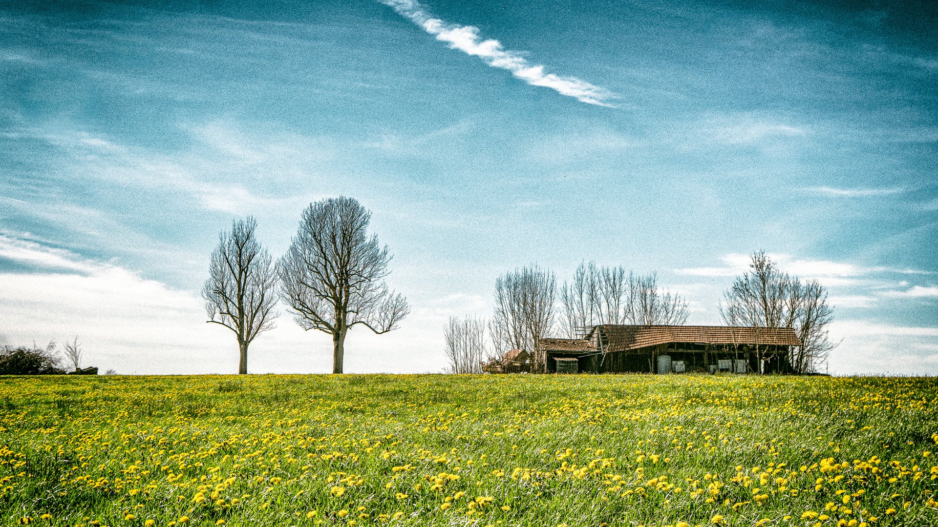 Sommertag im April