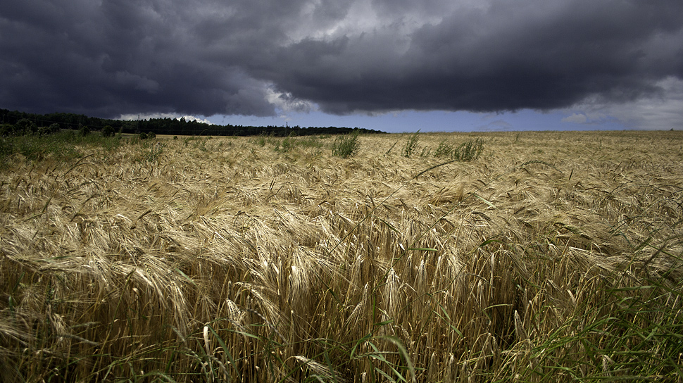 sommertag im "blauen ländchen"