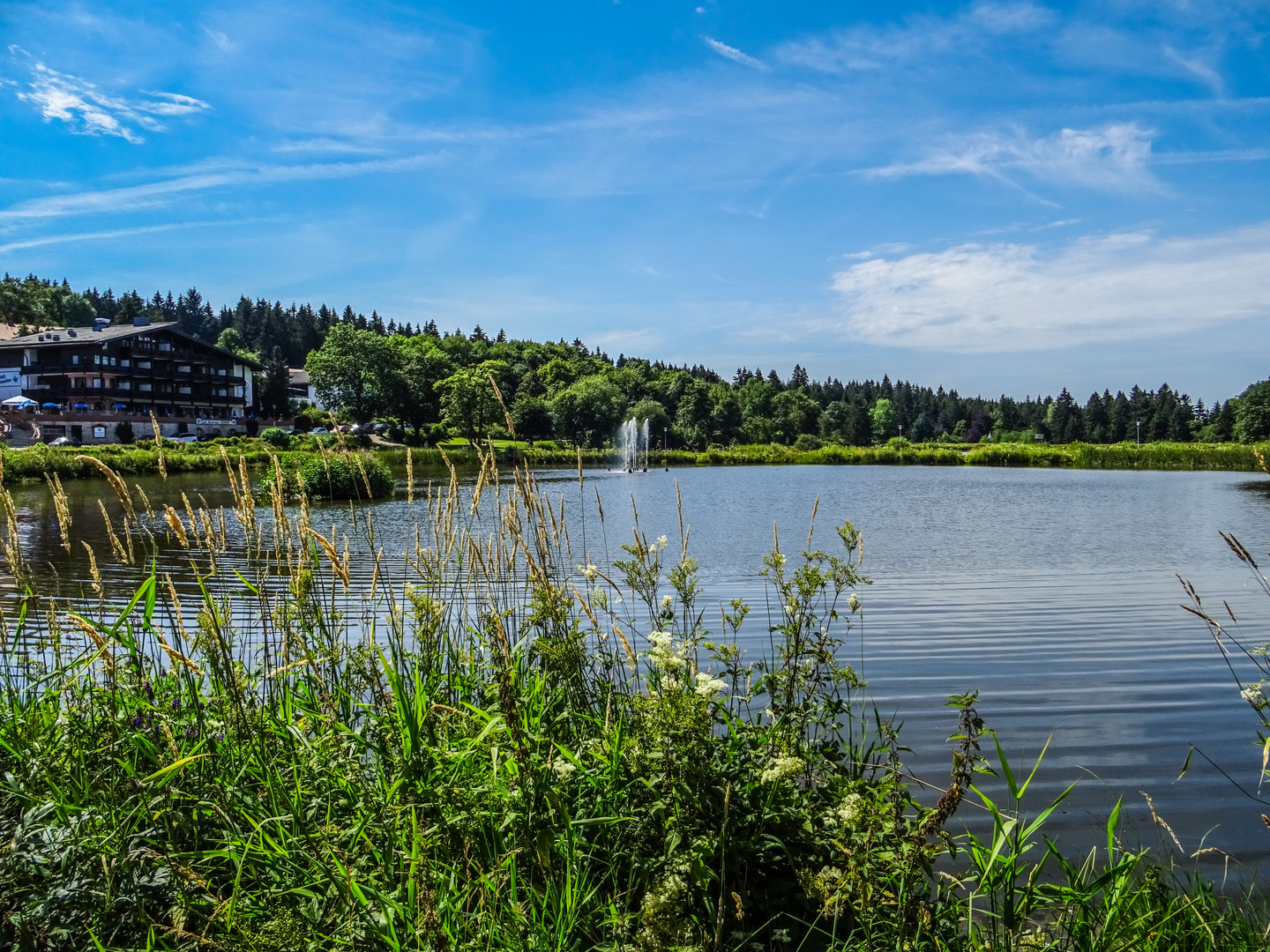 Sommertag im Kurpark Hahnenklee