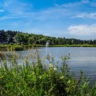 Sommertag im Kurpark Hahnenklee