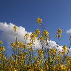 Sommertag im Mai