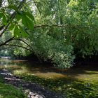 Sommertag im Park