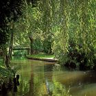 Sommertag im Spreewald  (Burg)