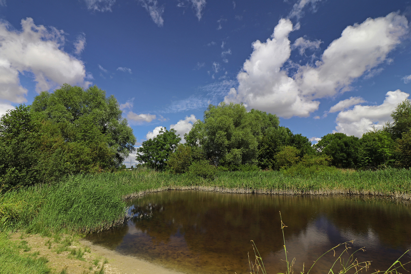 Sommertag im Westpark