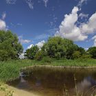 Sommertag im Westpark