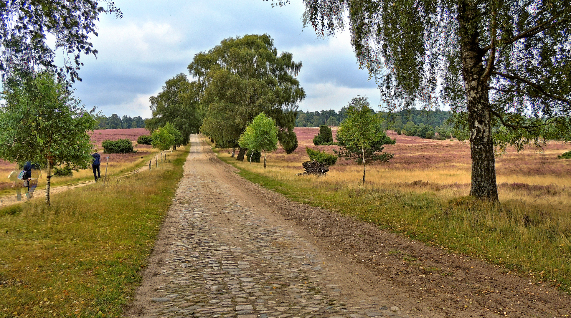 Sommertag in der Heide