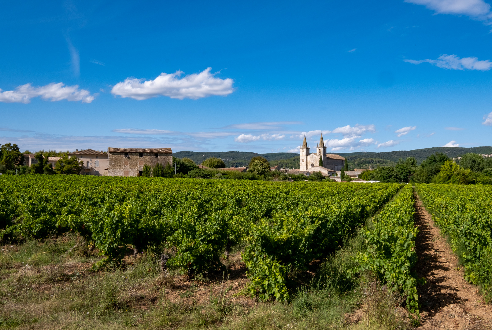 Sommertag in der Provence