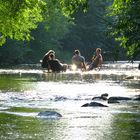 Sommertag in Freiburg