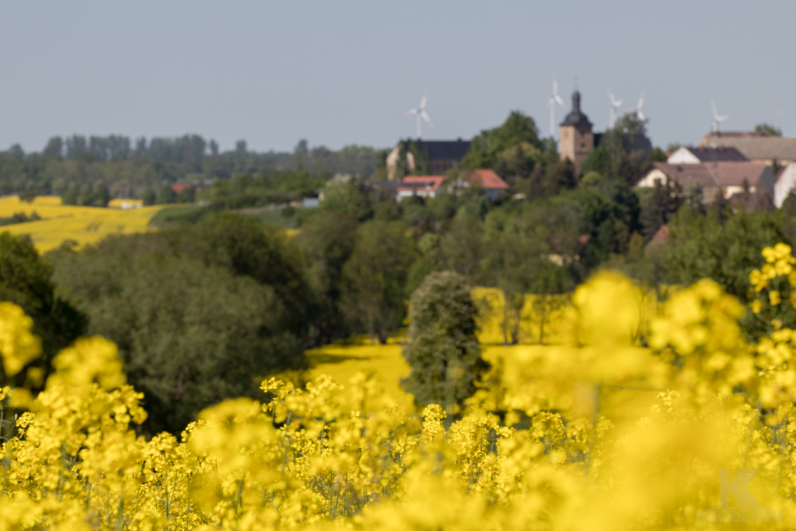 Sommertag in Gelb..