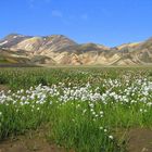 Sommertag in Landmannalaugar