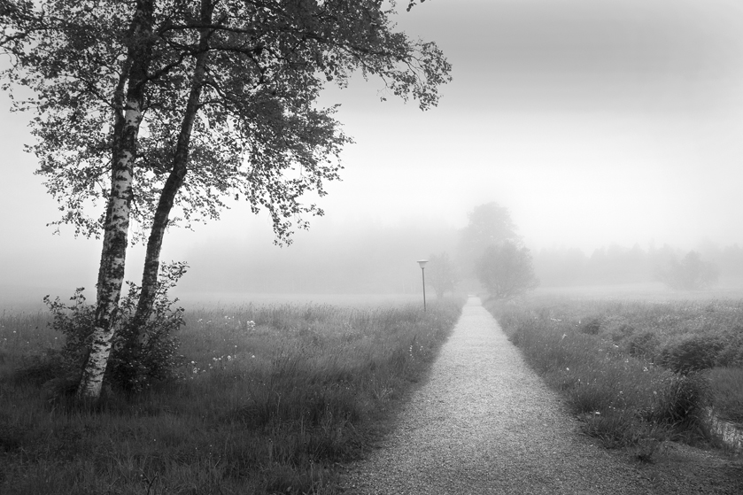 Sommertag mit Nebel