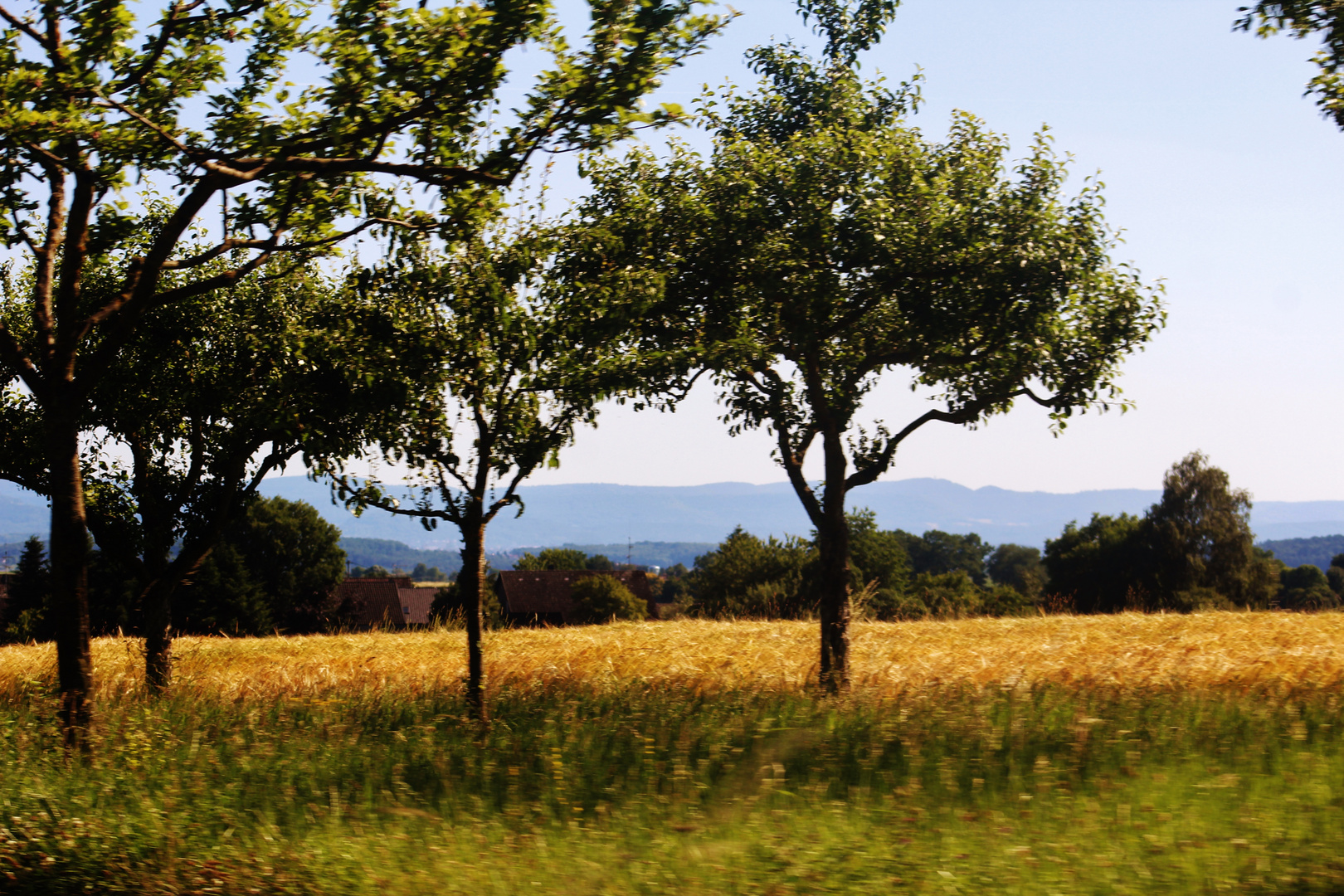 SOMMERTAGE