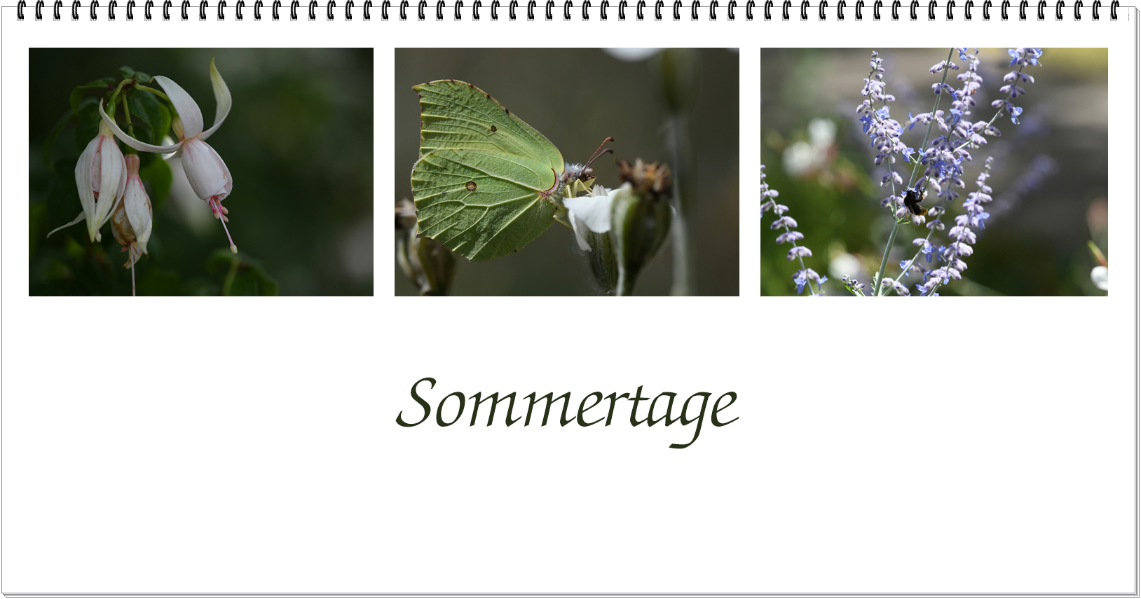 Sommertage