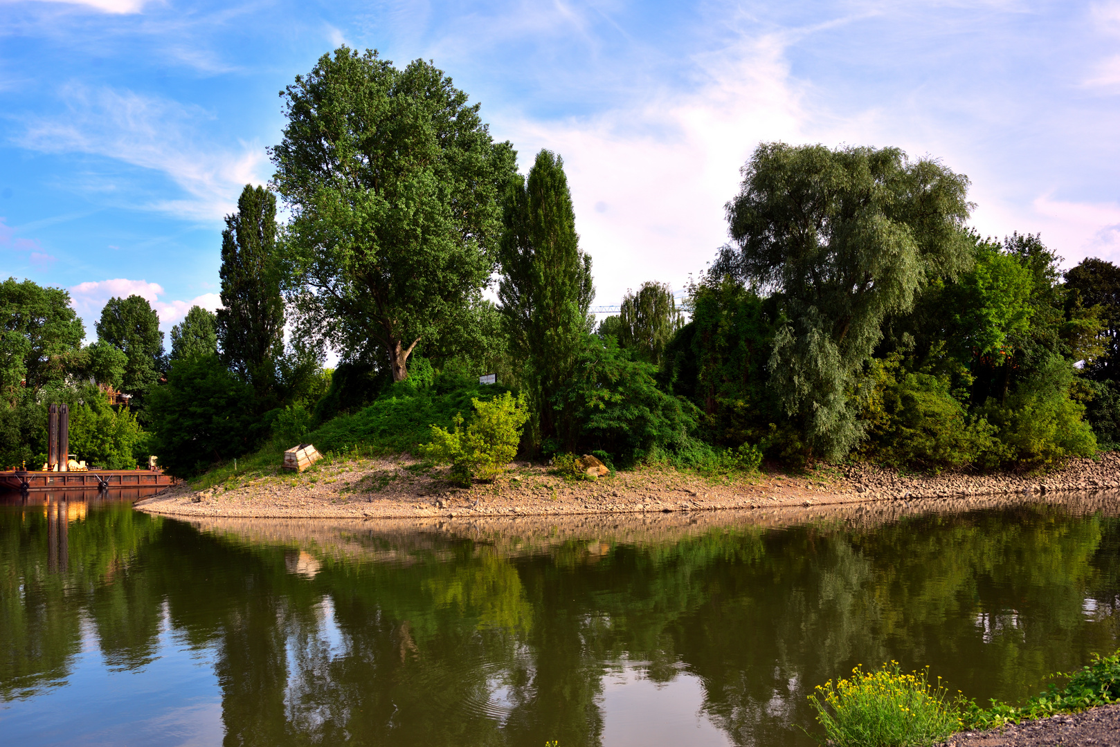 Sommertagen in Köln