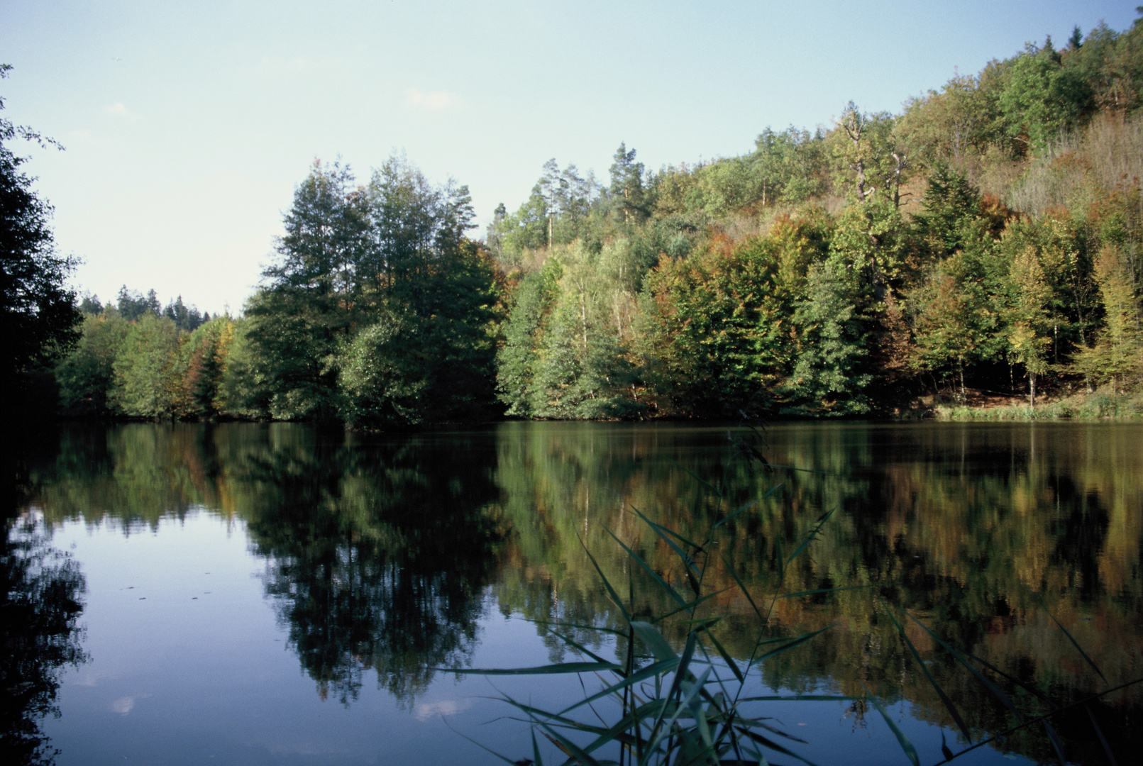 Sommertalweiher