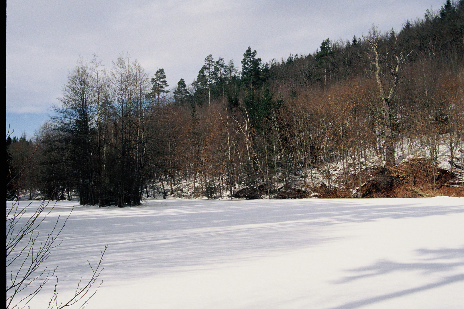 Sommertalweiher