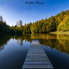 Sommertalweiher im Schönbuch