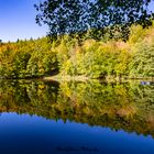 Sommertalweiher im Schönbuch