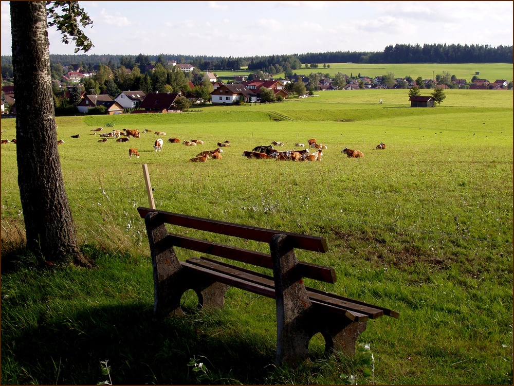 Sommerträume