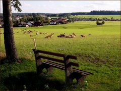 Sommerträume