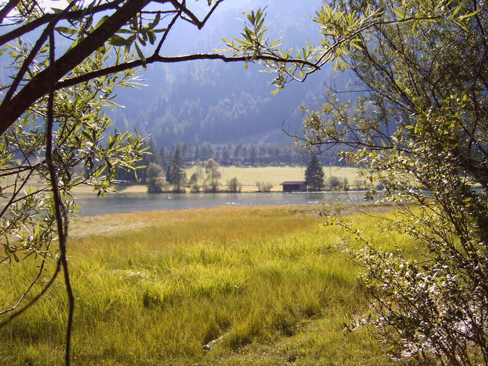 Sommerträume