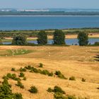 Sommerträume - Hiddensee (1)