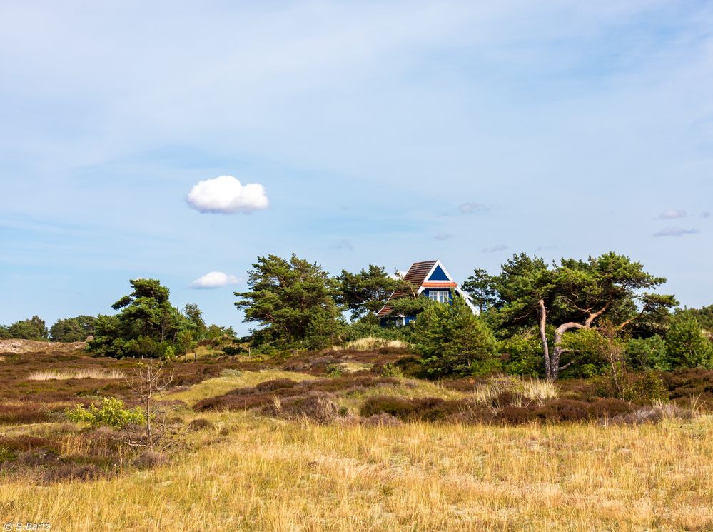 Sommerträume Hiddensee (11)