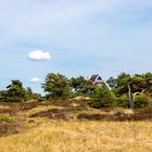 Sommerträume Hiddensee (11)