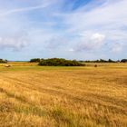 Sommerträume Hiddensee (16)