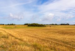 Sommerträume Hiddensee (16)