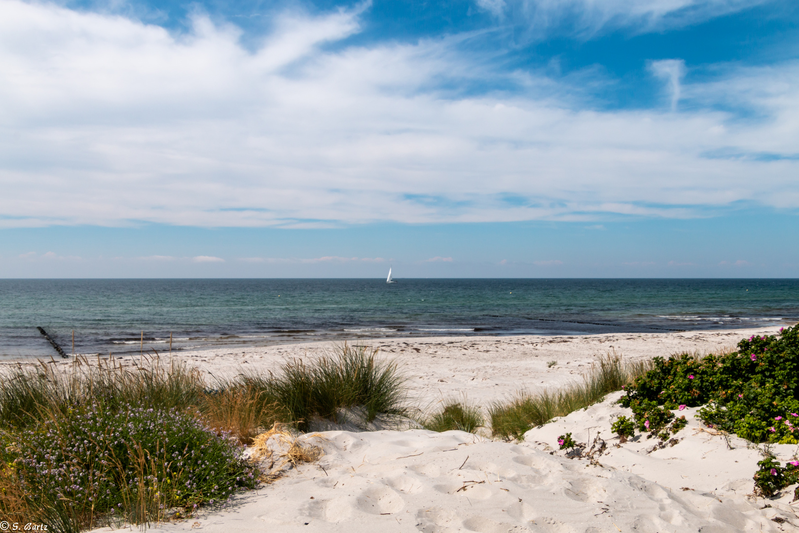 Sommerträume - Hiddensee (2)