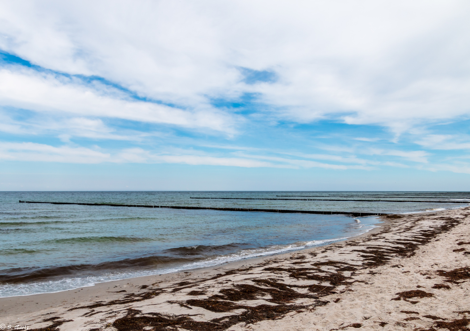 Sommerträume - Hiddensee (3)